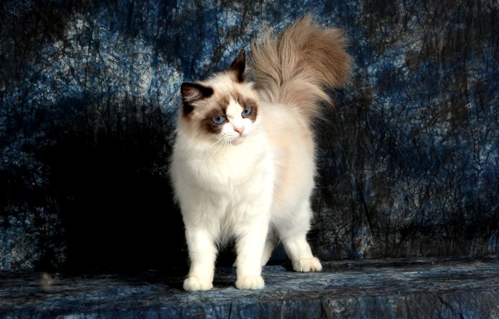 2020年什么錢好掙?2020年沒人注意的暴利行業(yè),掙錢沒人干的行業(yè)分享